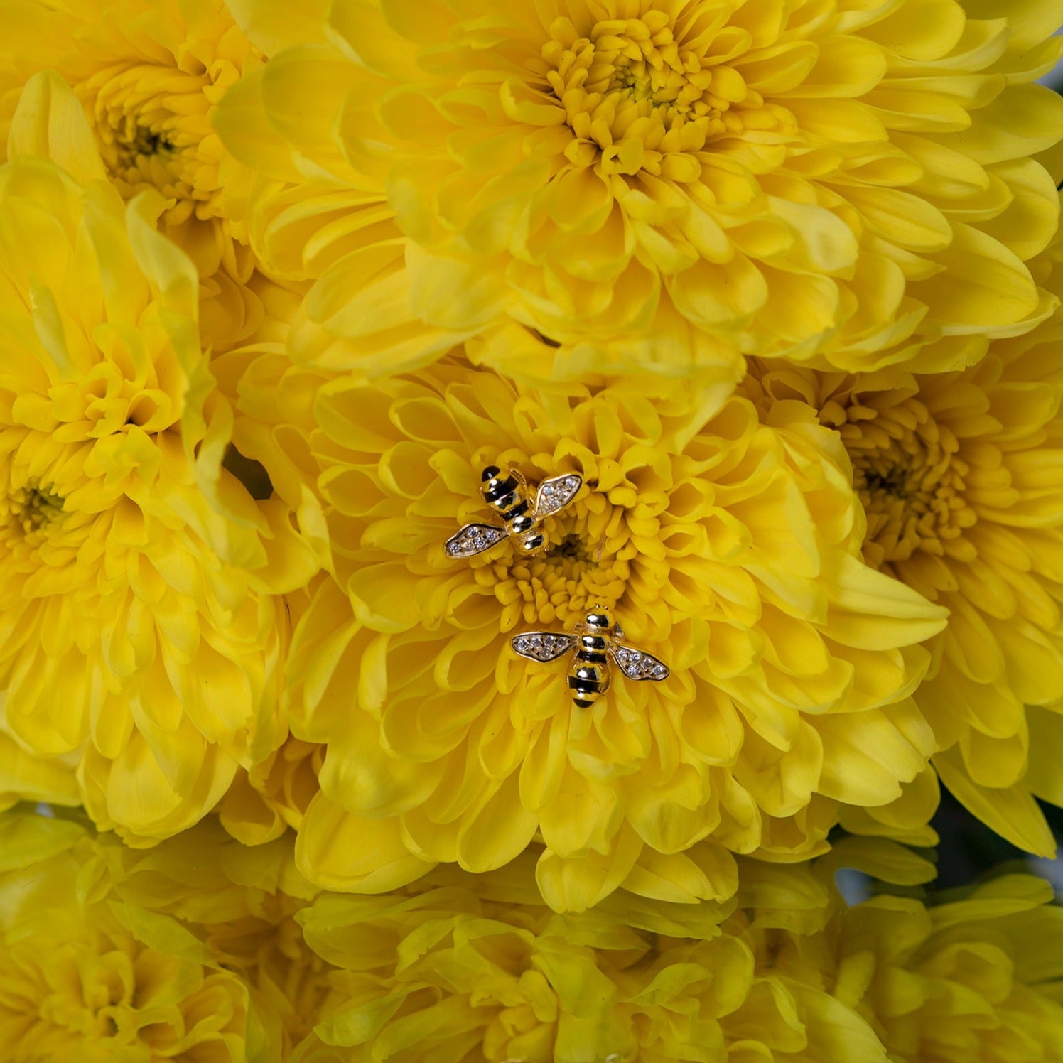 Gold and crystal accented honey bee stud earrings sitting on yellow flowers