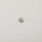 Gold and crystal accented spider charm